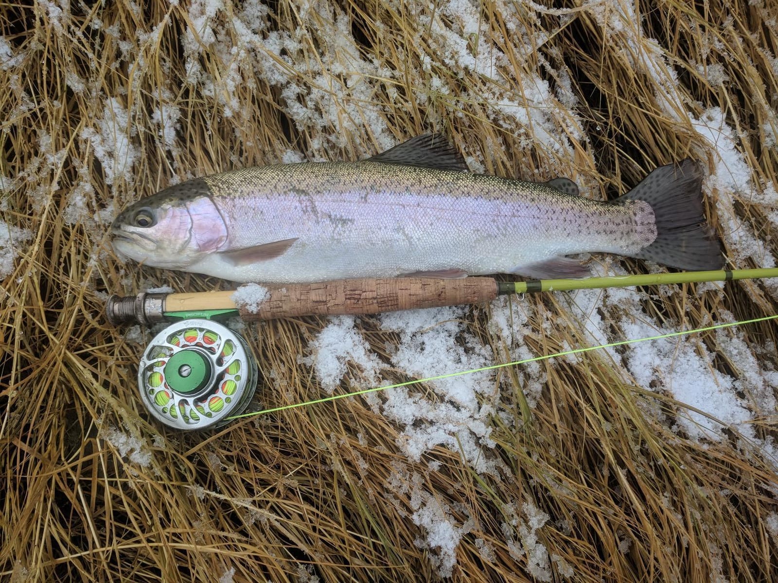 Maxcatch Ultra-Lite Fly Rod for Stream River Panfish/Trout Fishing 1/2/3 Weight and Combo Set Available customer photo 1