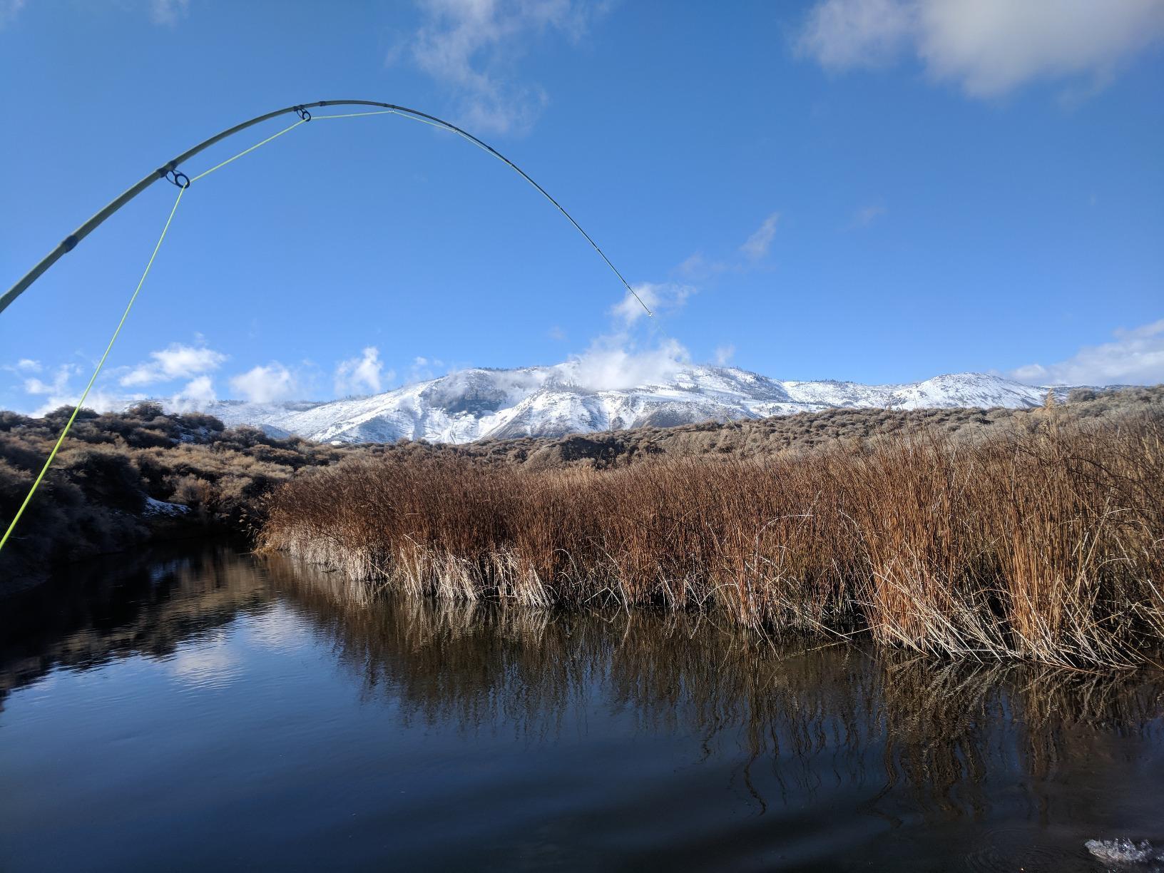 Maxcatch Ultra-Lite Fly Rod for Stream River Panfish/Trout Fishing 1/2/3 Weight and Combo Set Available customer photo 2