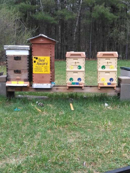 Apimaye Premium Screened Bottom Board 10 Frame Langstroth for Wood Hives with Built in Pollen Trap and Pollen Drawer, Entrance Reducers and Ventilation System for Moisture Control customer photo 2