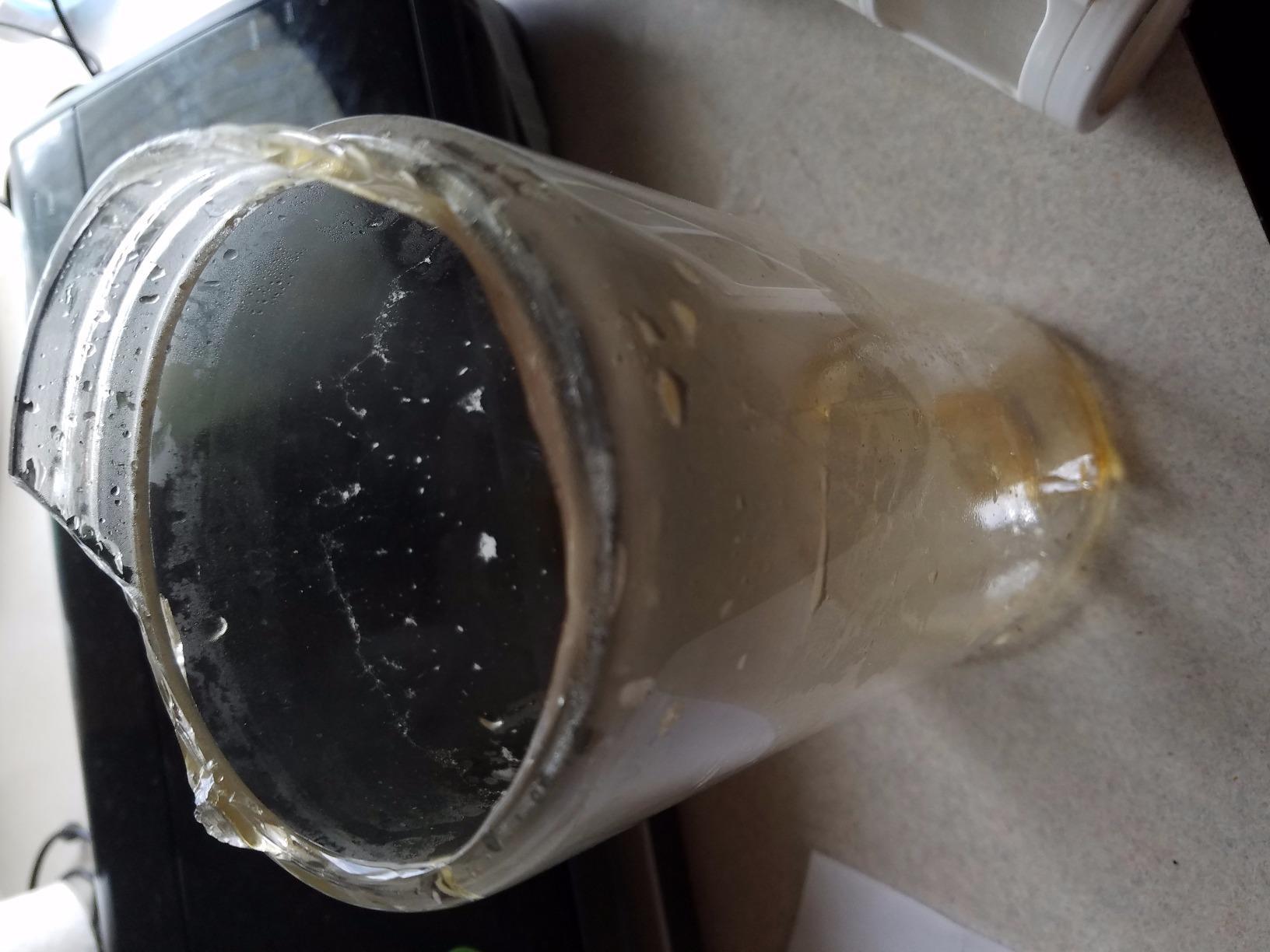Coffee Gator Cold Brew Coffee Maker, 47oz BPA Free Airtight Leakproof Lid customer photo 2