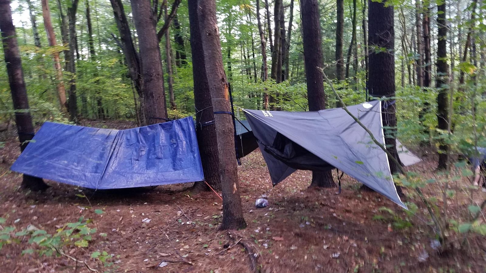 Bear Butt Hammock Rain Fly & Camping Tarp - 11 x 9 ft Ultralight Waterproof Tarp for Hammock & Tent Camping - Easy to Set Up customer photo 1