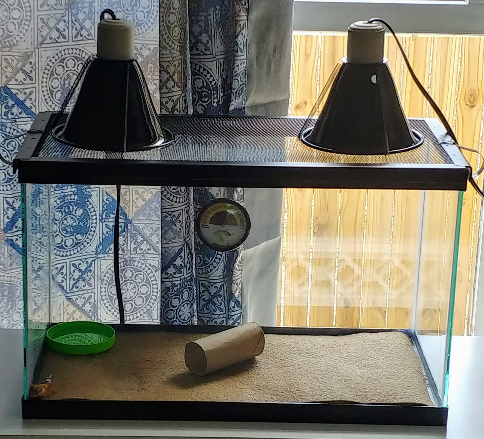 Zilla 10 Gallon Reptile Starter Habitat Kit, Leopard Gecko Tank customer photo 2