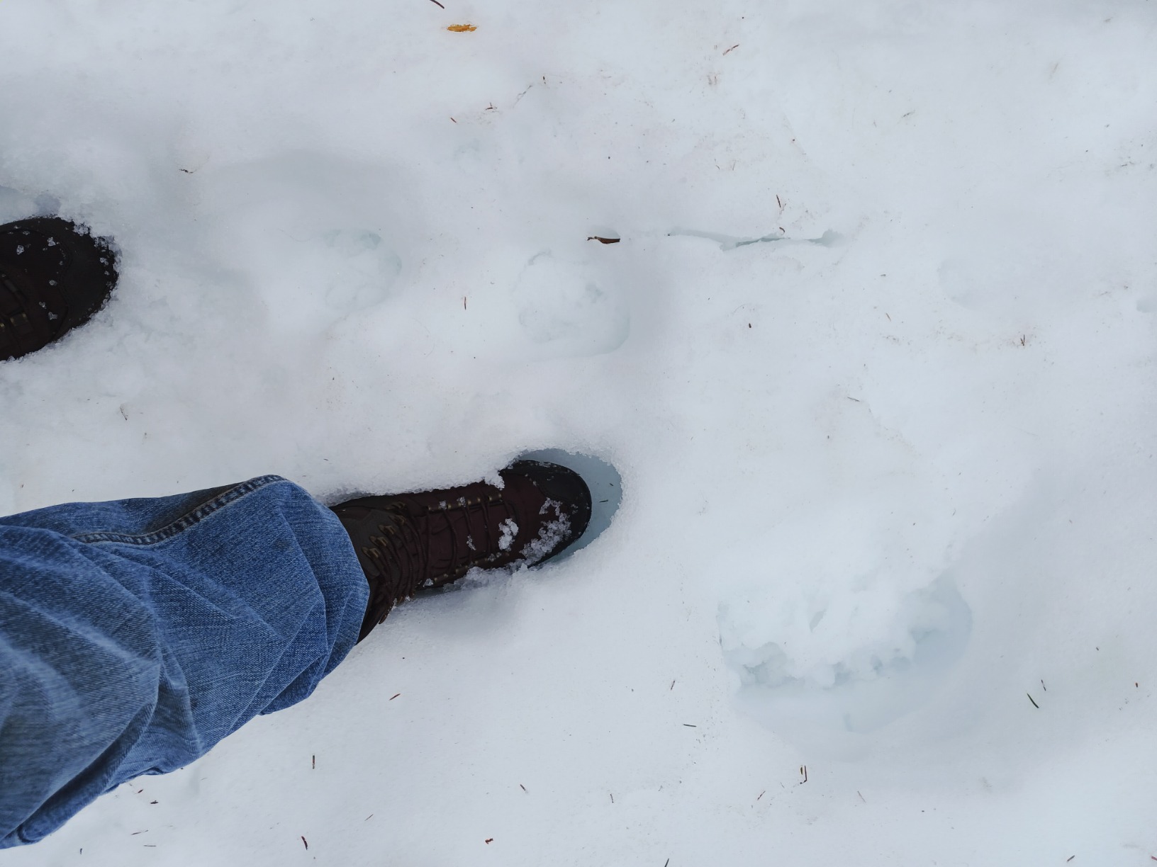 Danner Men's customer photo 1