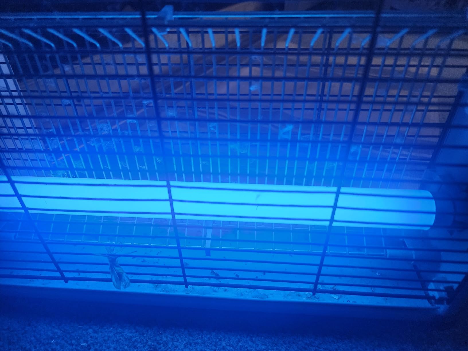 LiBa Bug Zapper 2800V Indoor, with 2 Extra Replacement Bulbs customer photo 2