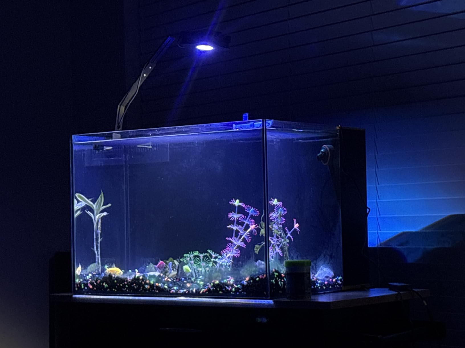 LANDEN EzFlux 40 Rimless 16 Gallon Rear Filtration Tank, Pump Included customer photo 1