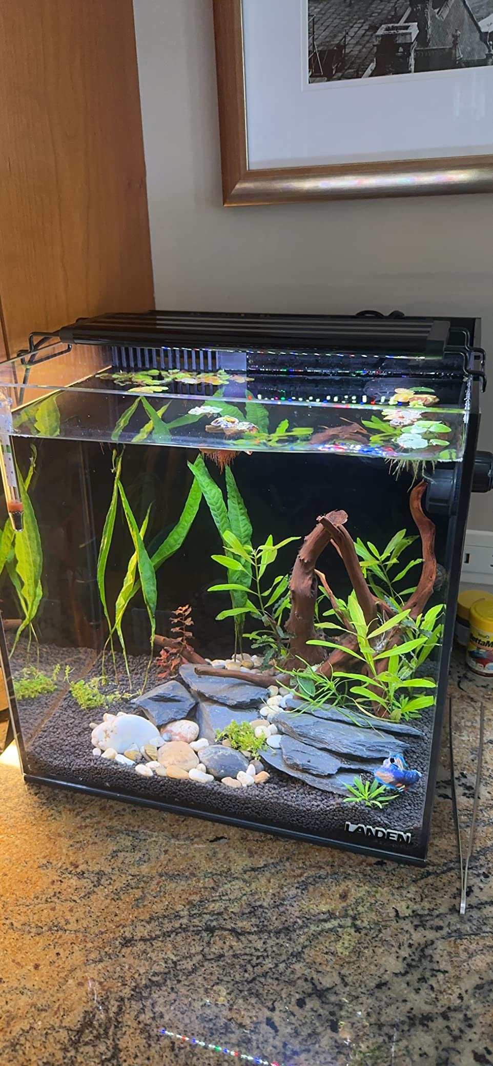 LANDEN EzFlux 40 Rimless 16 Gallon Rear Filtration Tank, Pump Included customer photo 2