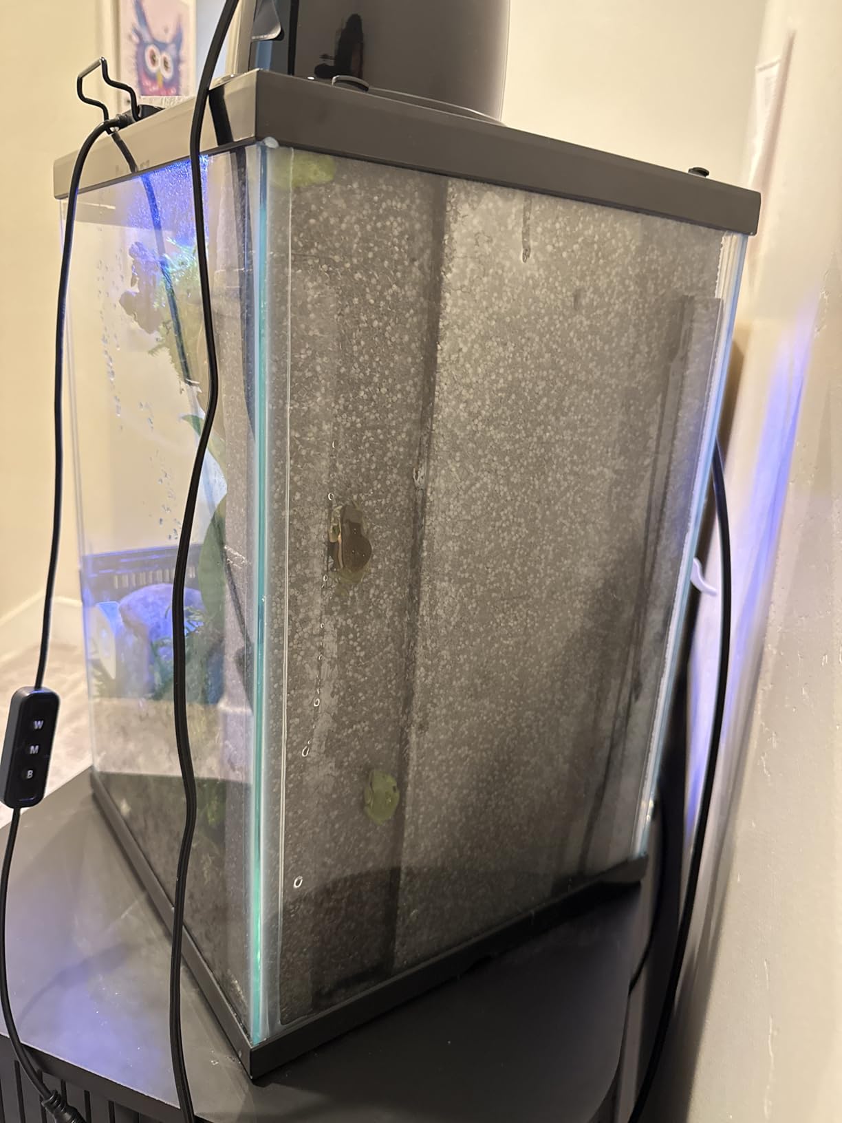 Zilla 11 Gallon Glass Tropical Vertical Terrarium Kit customer photo 2