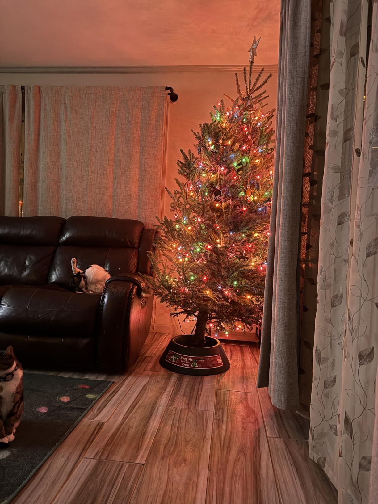 Goliath Welded Steel Christmas Tree Stand for Live Trees 5 to 12 Foot customer photo 1