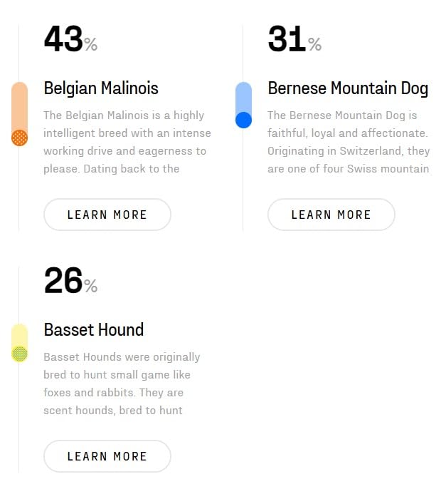 DNA My Dog Premium Dog DNA Test – Identify 350+ Breeds | Genetic Health & Trait Screening | Wolf DNA & Genetic Age | Easy At-Home Cheek Swab customer photo 1