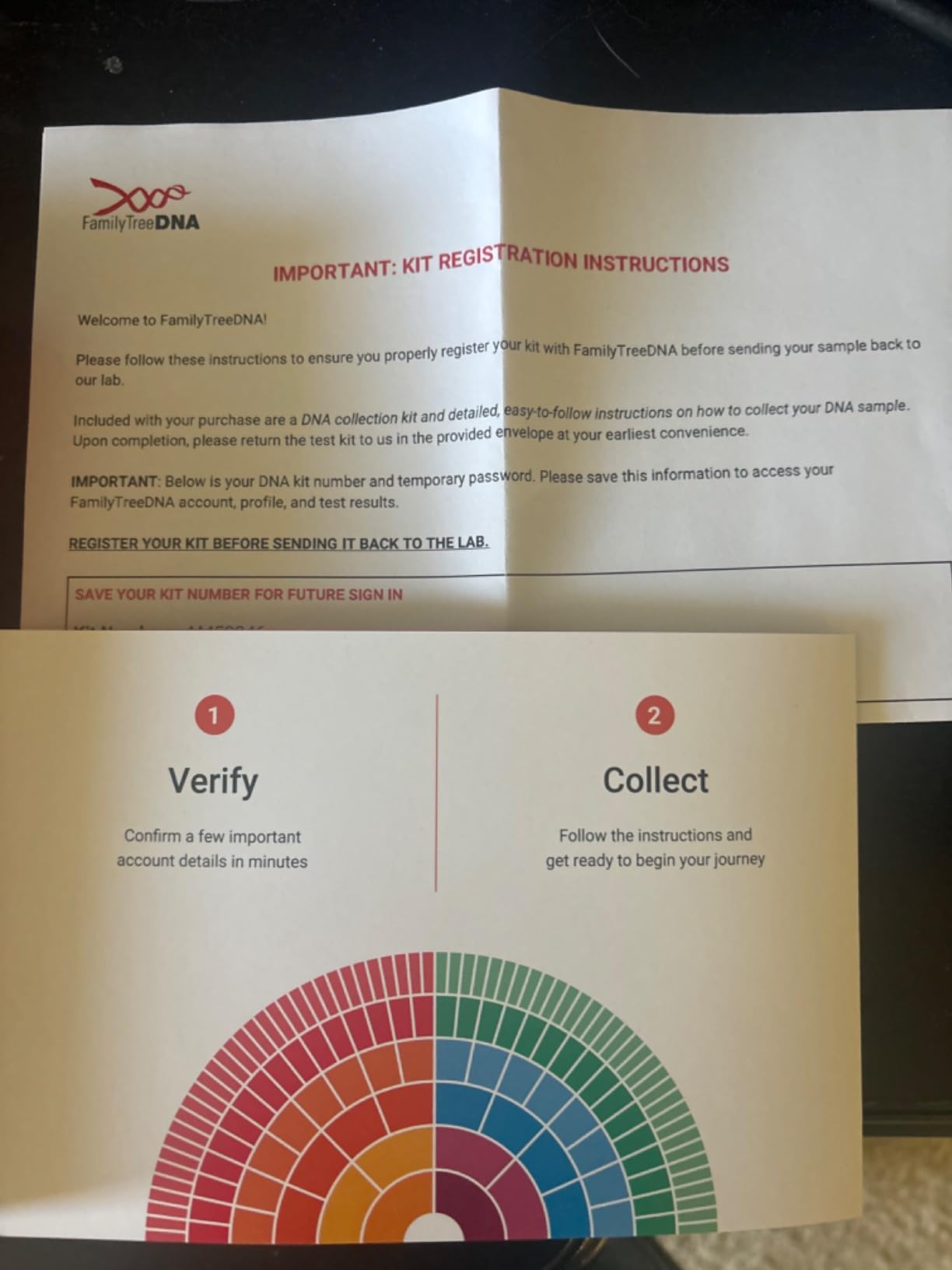 FamilyTreeDNA Family Finder Ancestry & DNA Test, Swab Collection Kit customer photo 1