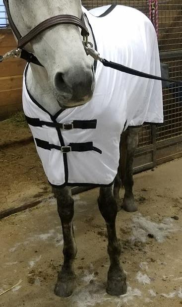 TuffRider Comfy Mesh Fly Sheet | UV Protection Horse Sheet, Standard Neck, 130 Grams Breathable Polyester Mesh - White - 75 customer photo 1