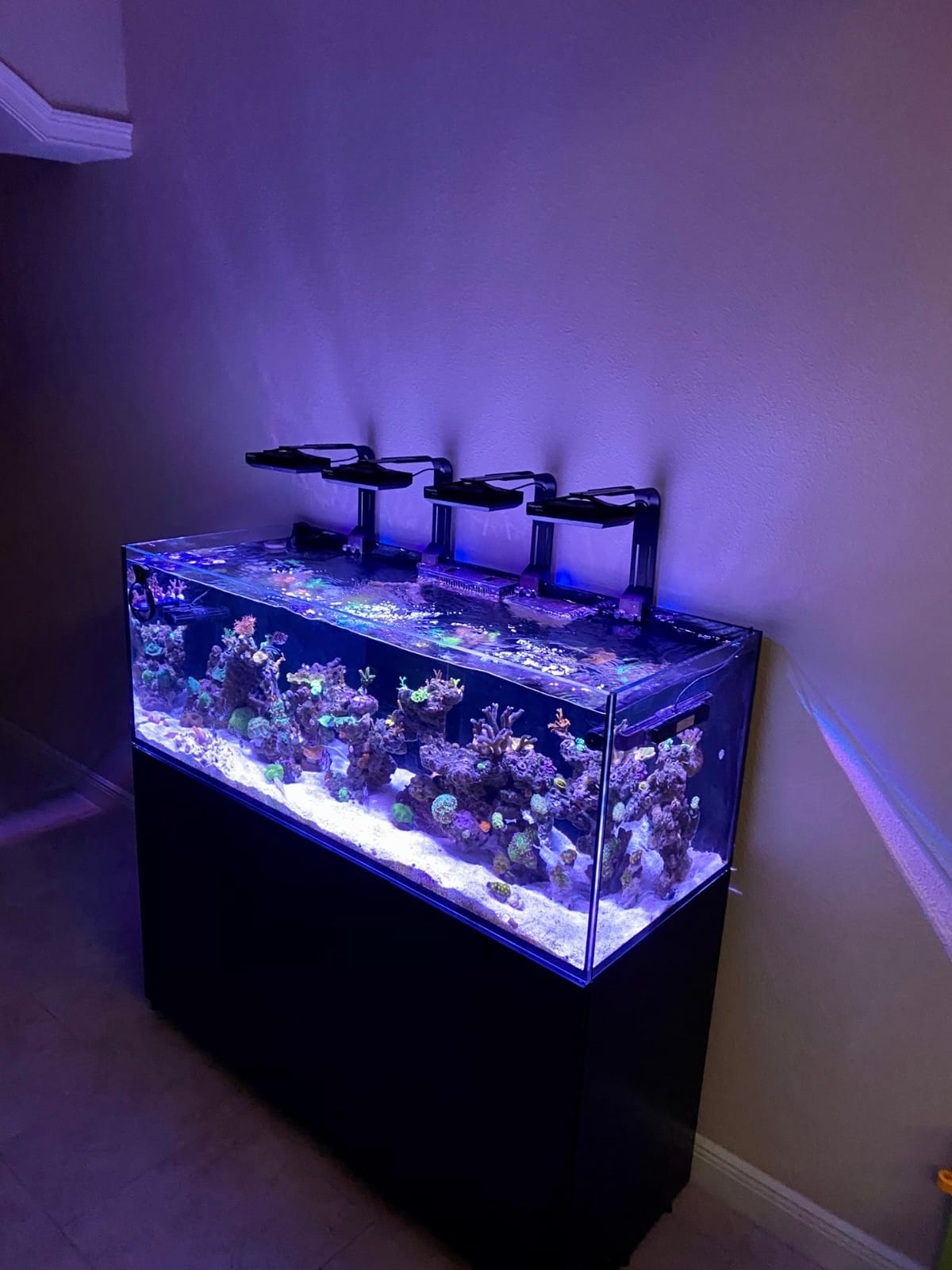 Jebao DCP Sine Wave Water Return Pump (DCP-15000) customer photo 2