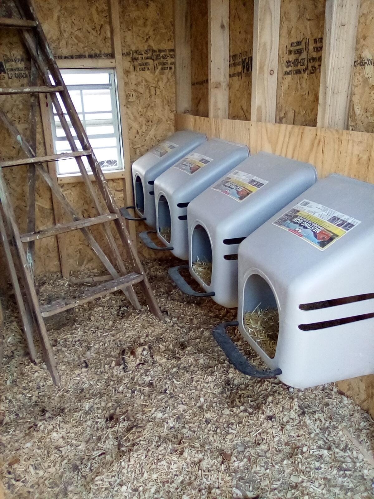 4 PACK of LARGE WALL Mount EGG NESTING NEST BOXES with PERCH for CHICKEN COOP HEN HOUSE POULTRY customer photo 1