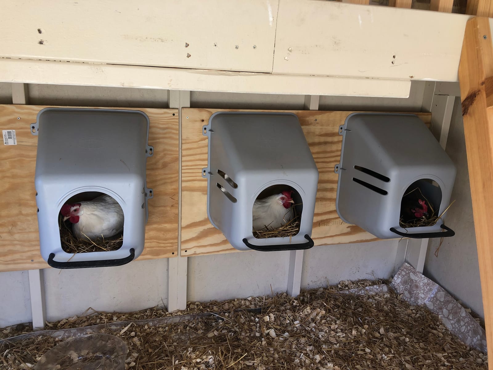 4 PACK of LARGE WALL Mount EGG NESTING NEST BOXES with PERCH for CHICKEN COOP HEN HOUSE POULTRY customer photo 2