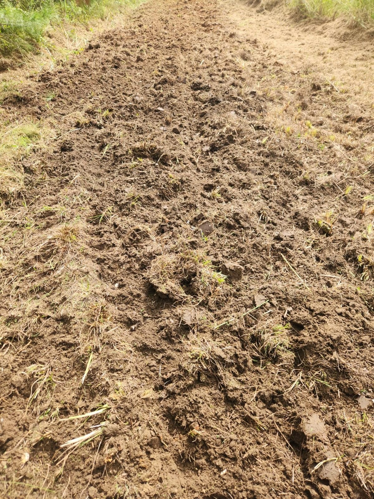 Black Boar Camco ATV/UTV Disc Harrow Implement | Specifically Designed to Thoroughly Break up Tough Ground | (66001) customer photo 2