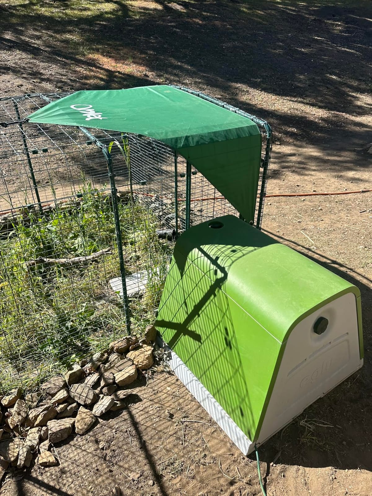 Omlet Eglu Cube Large Chicken Coop | Easy to Clean Plastic Chicken Tractor | The Most Secure Hen House for Complete Peace of Mind | Weatherproof Cool in Summer and Warm in Winter | Green customer photo 2