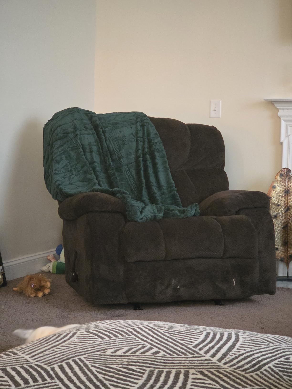Exclusivo Mezcla Soft Large Fleece Throw Blanket for Couch, Forest Green customer photo 1