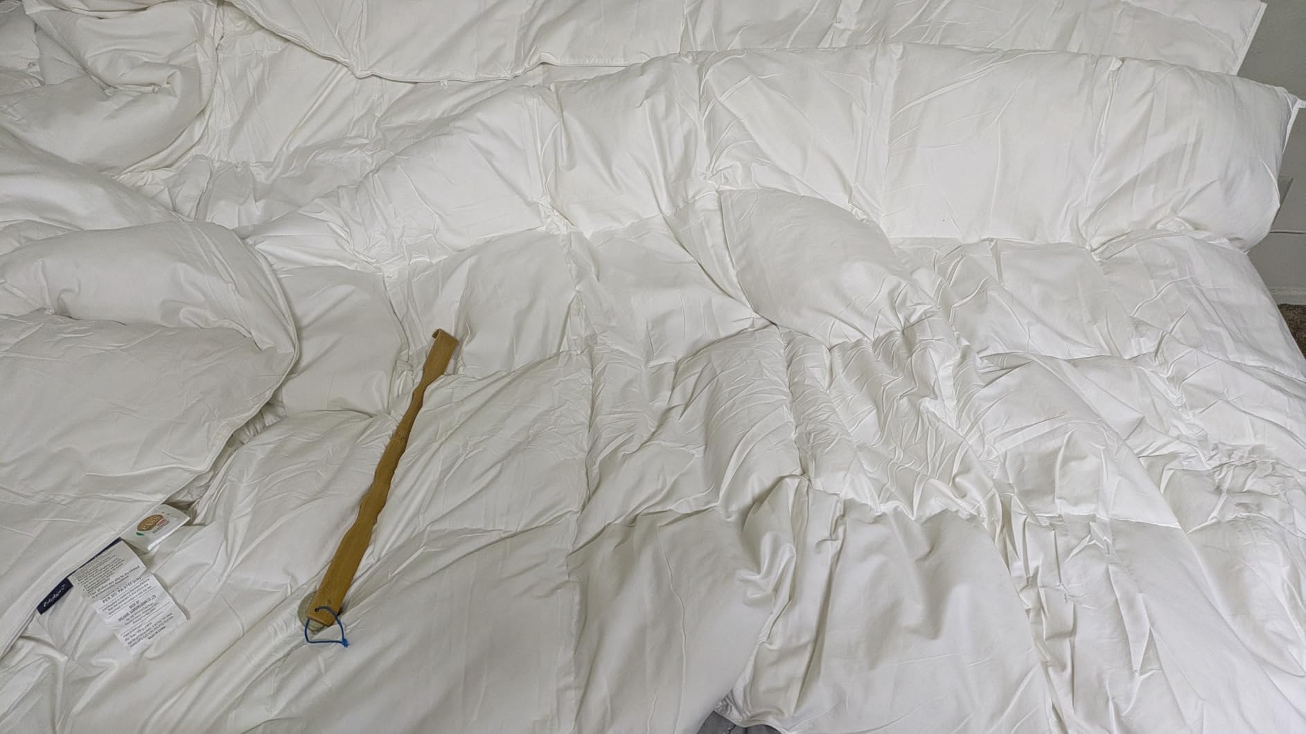 Globon Winter Goose Down Comforter Queen Size,800 Fill Power,White customer photo 2