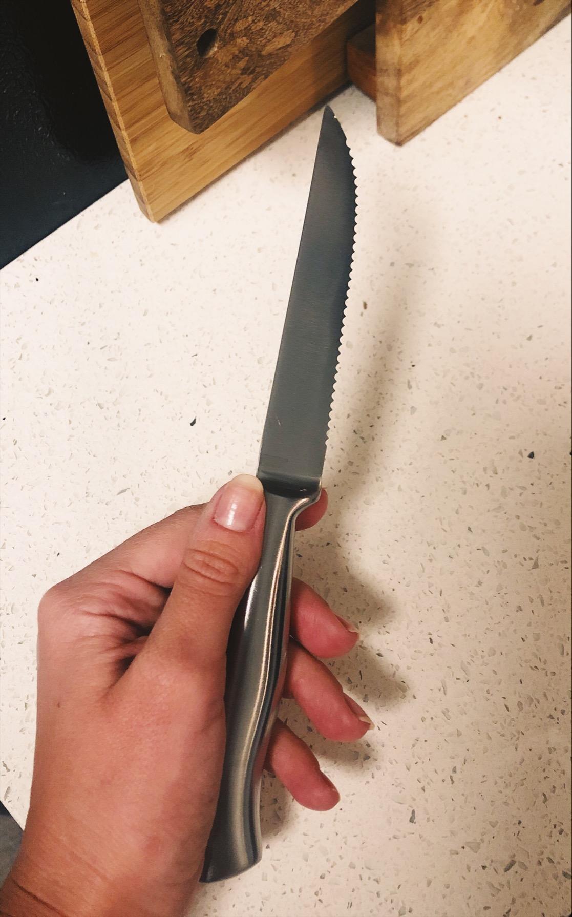 Steak Knife Set of 6, 4.5 inches Dishwasher Safe High Carbon Stainless Steel Knives, Silver customer photo 2