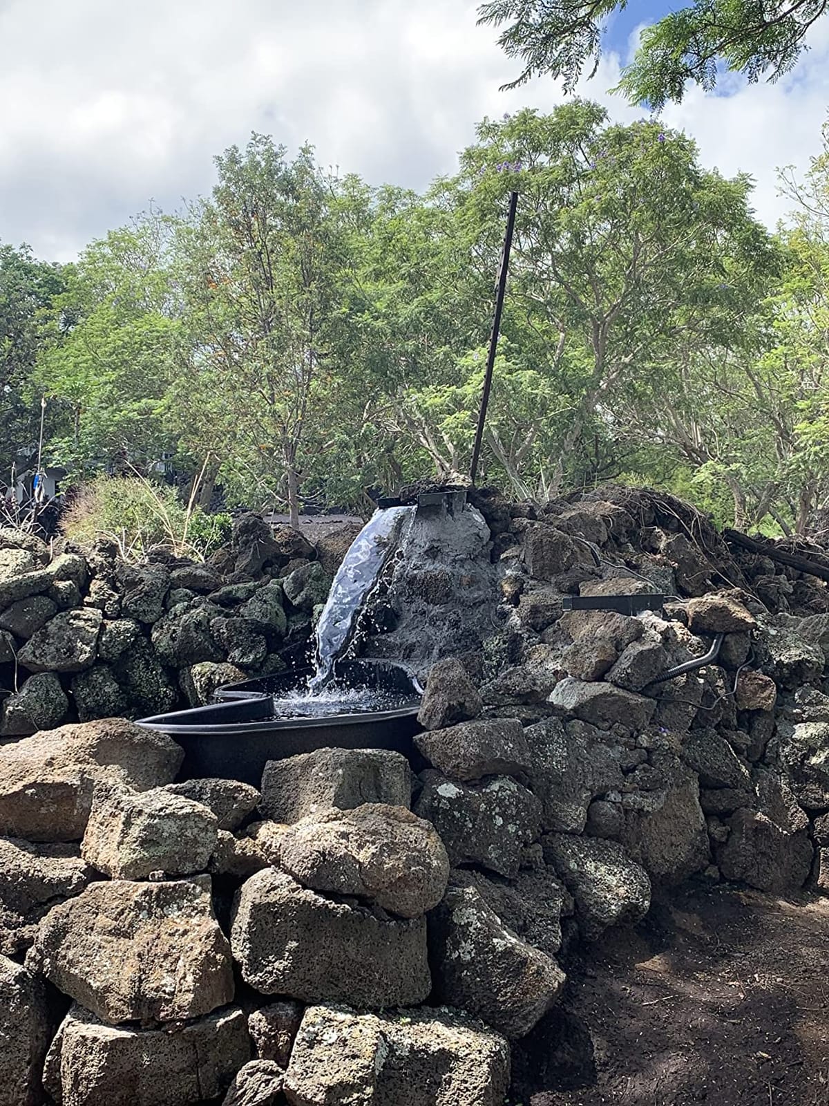 MNP Powerful Submersible Solar Powered Pond Pump Kit with Panels and Hose, No Battery. Advanced Design (50 Watts) customer photo 2