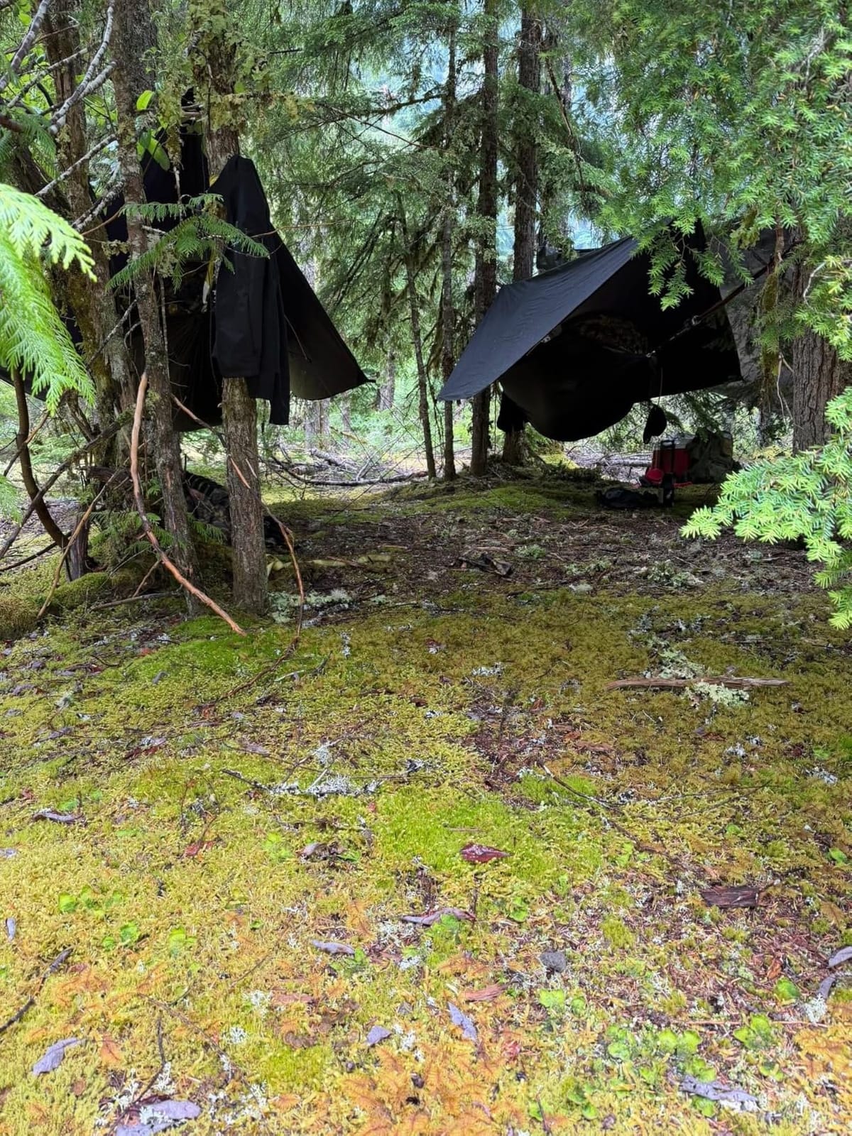 Waterproof Hammock Rain Fly [12ft x 9ft] - Portable Large Camping Tarp - Premium Lightweight Ripstop Nylon Cover - Fast Set Up + Accessories - A Camping Gear Essential! 12x9 ft HEX Shape customer photo 1