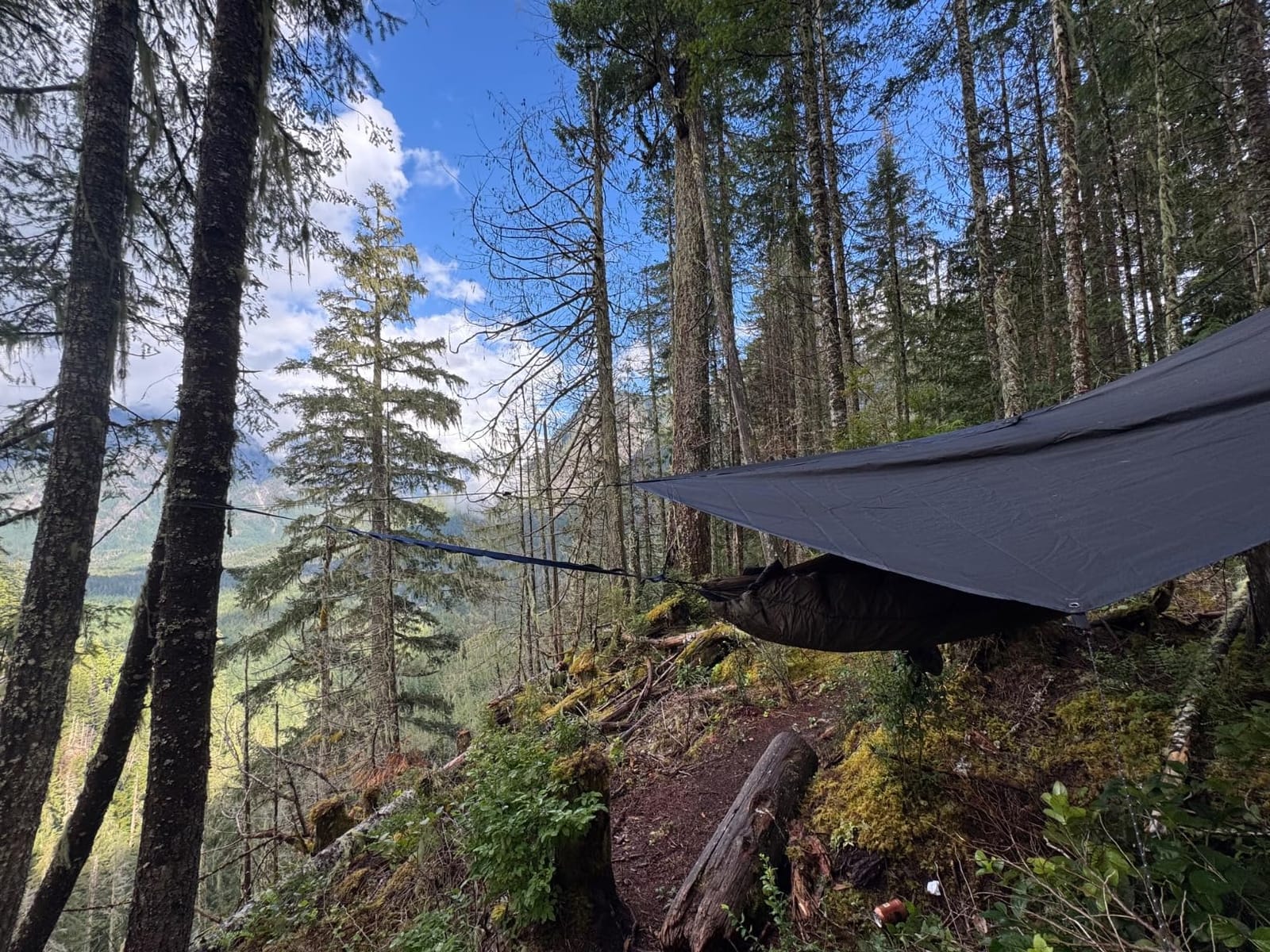 Waterproof Hammock Rain Fly [12ft x 9ft] - Portable Large Camping Tarp - Premium Lightweight Ripstop Nylon Cover - Fast Set Up + Accessories - A Camping Gear Essential! 12x9 ft HEX Shape customer photo 2