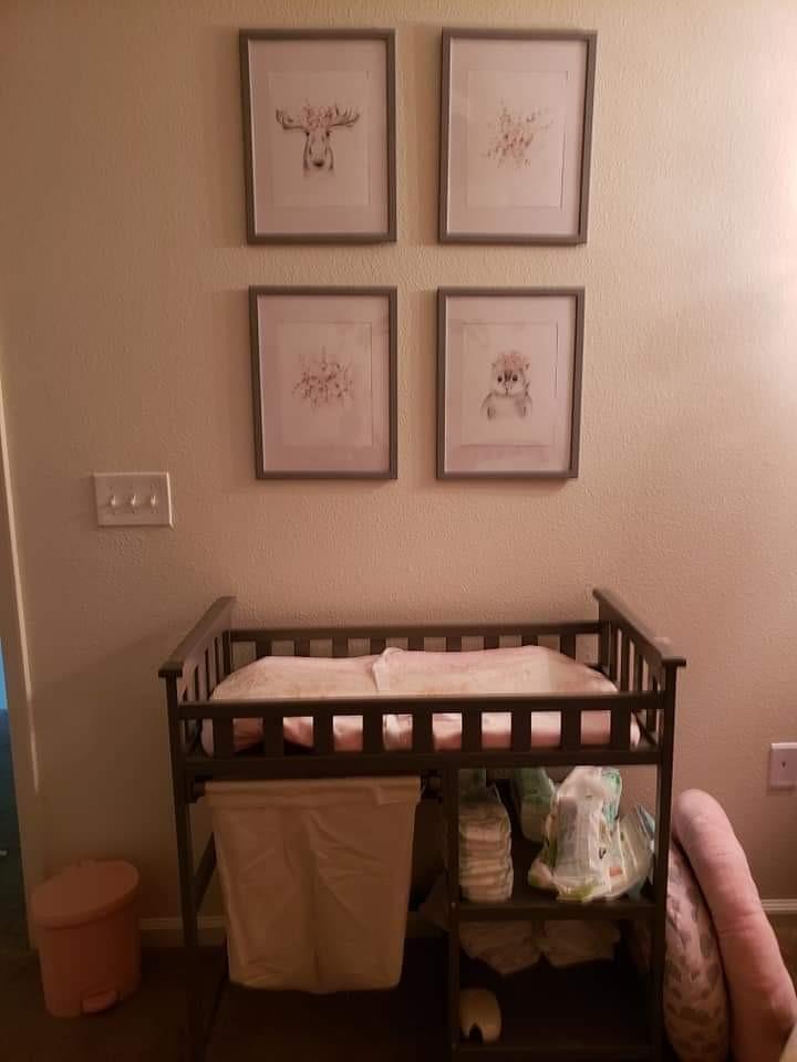 Sorelle Palisades 3-Piece Nursery Set with 4-in-1 Convertible Crib, 4-Drawer Dresser, Changing Table with Hamper, Baby Furniture Made of Wood, Non-Toxic Finish, Nursery Furniture Set - Grey customer photo 1