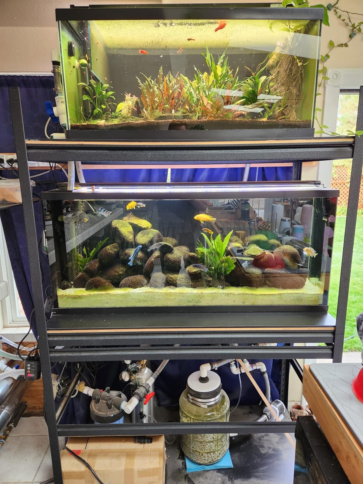 Orlushy dc-12000 Controllable DC aquarium Pump 80W 3100GPH-marine wavemaker return pump with sine wave Controller for salt/Freshwater fish reef tank sump Circulation customer photo 2