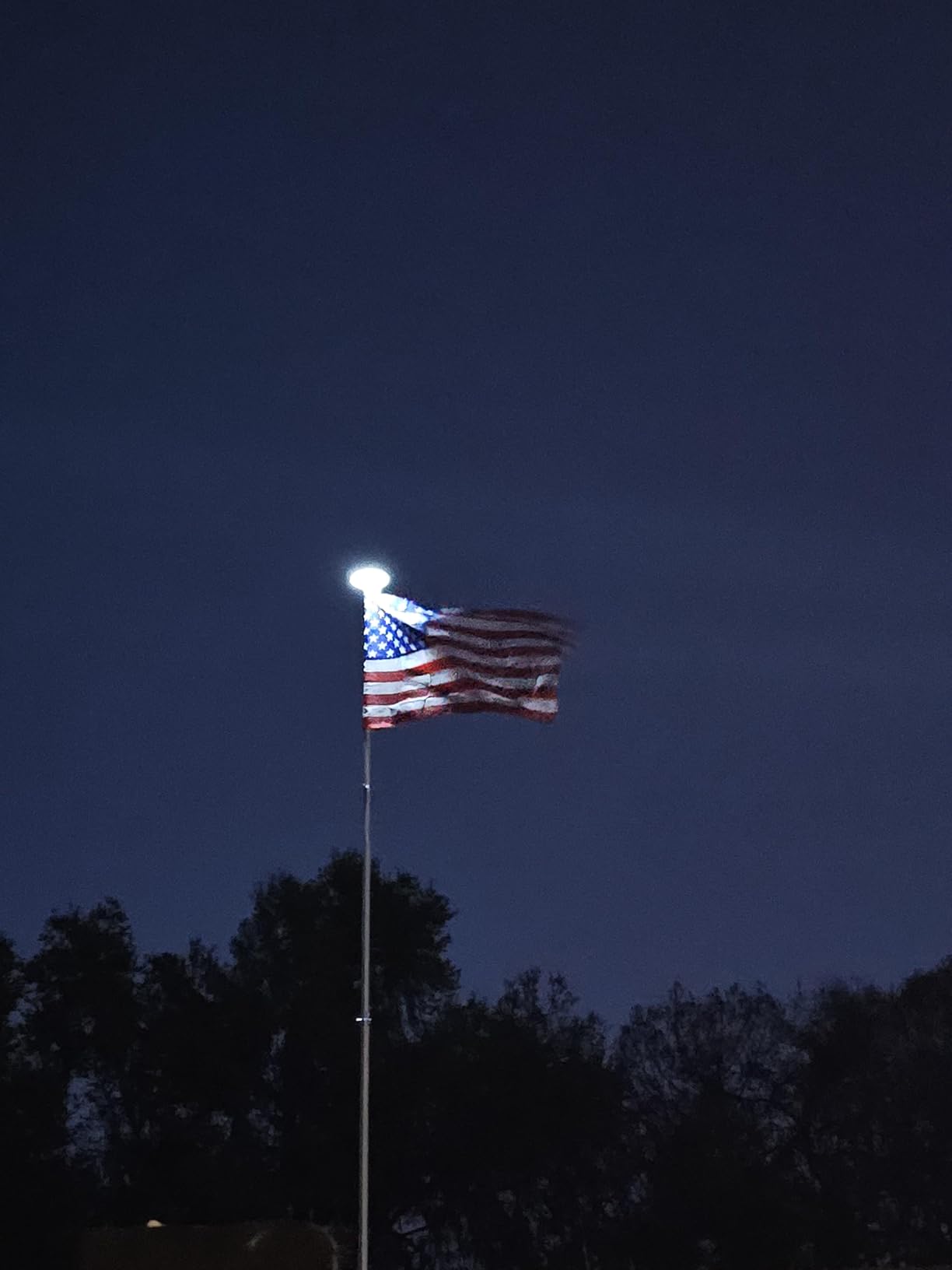 25FT Telescopic Flag Pole with Solar Lights – Outdoor Flagpole Kit customer photo 2