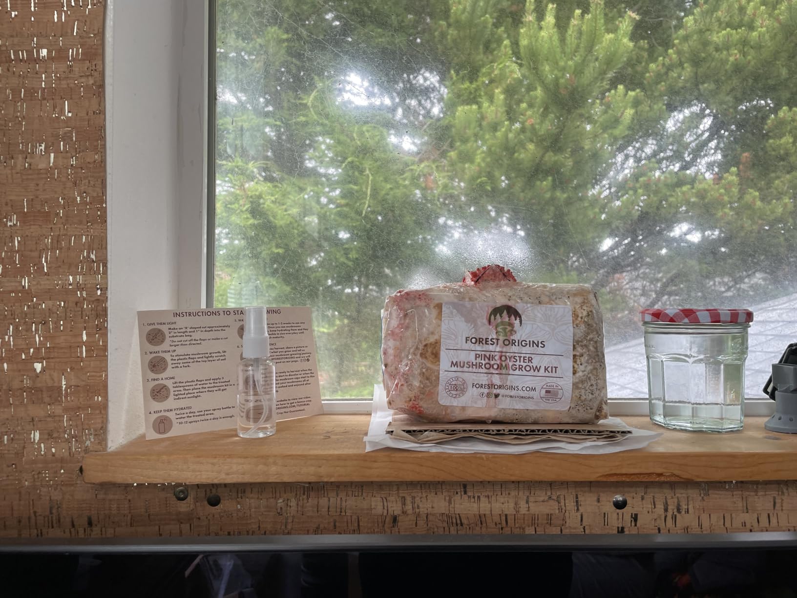 Forest Origins Pink Oyster Mushroom Grow Kit, Ready to Grow Indoors customer photo 1