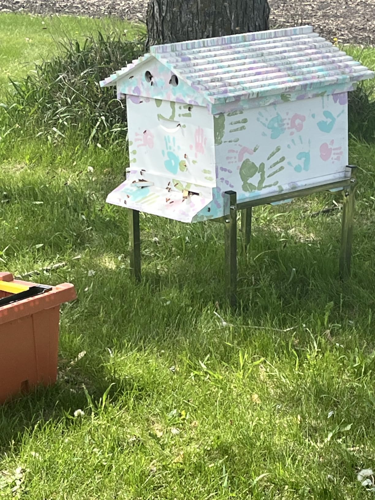Golden Palace Bee Hive, Beehive with 7pcs Auto Super Frames, Bee House with 1pcs Super Boxes, 1pcs Brood Boxes(No Brood Frames), Bee Hives Starter Beekeeping Kits customer photo 1