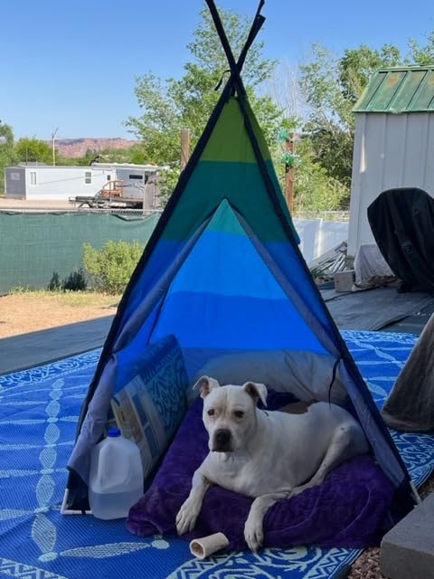 USA Toyz Happy Hut Teepee Tent for Kids - Indoor Pop Up Teepee Kids Playhouse Tents for Boys, Girls, Toddlers with Portable Storage Bag (Blue) customer photo 1