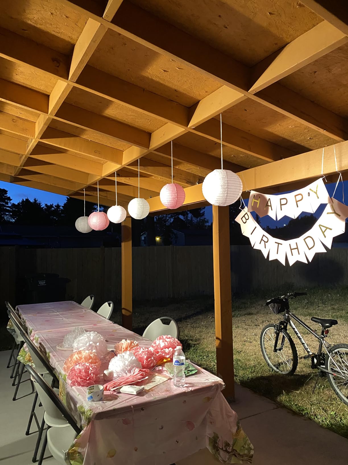 Paper Lanterns and Paper Pom Poms Pink Party Decorations 15pcs customer photo 1
