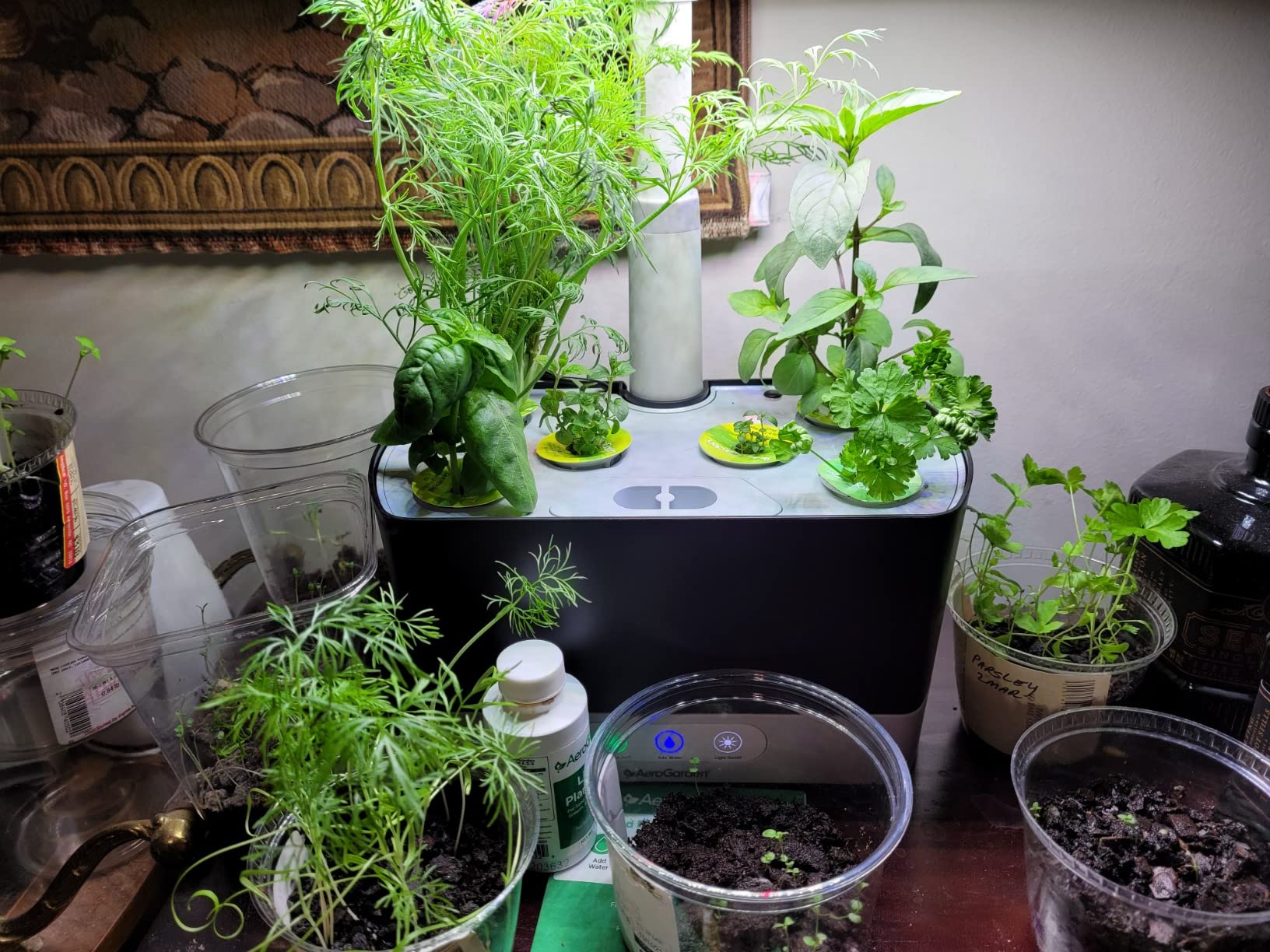 AeroGarden Harvest Indoor Garden Hydroponic System with LED Grow Light and Herb Kit, Holds up to 6 Pods, White customer photo 1