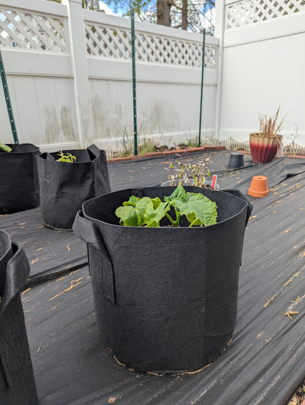 Gardzen 10-Pack 10 Gallon Grow Bags Fabric Pots with Heavy Duty Handles customer photo 2