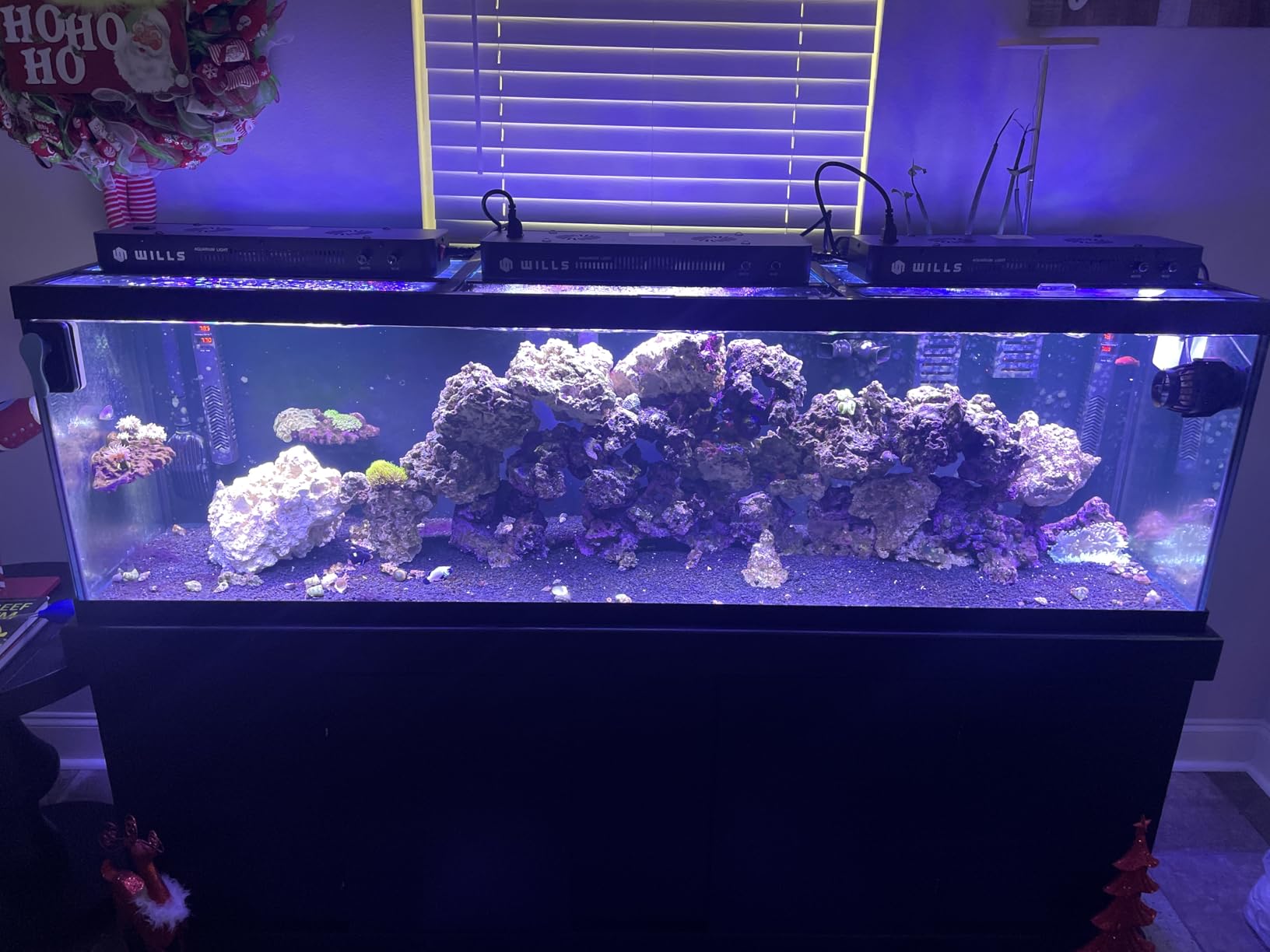Wills Aquarium Light, 100W Full Spectrum LED Reef Lights, 16