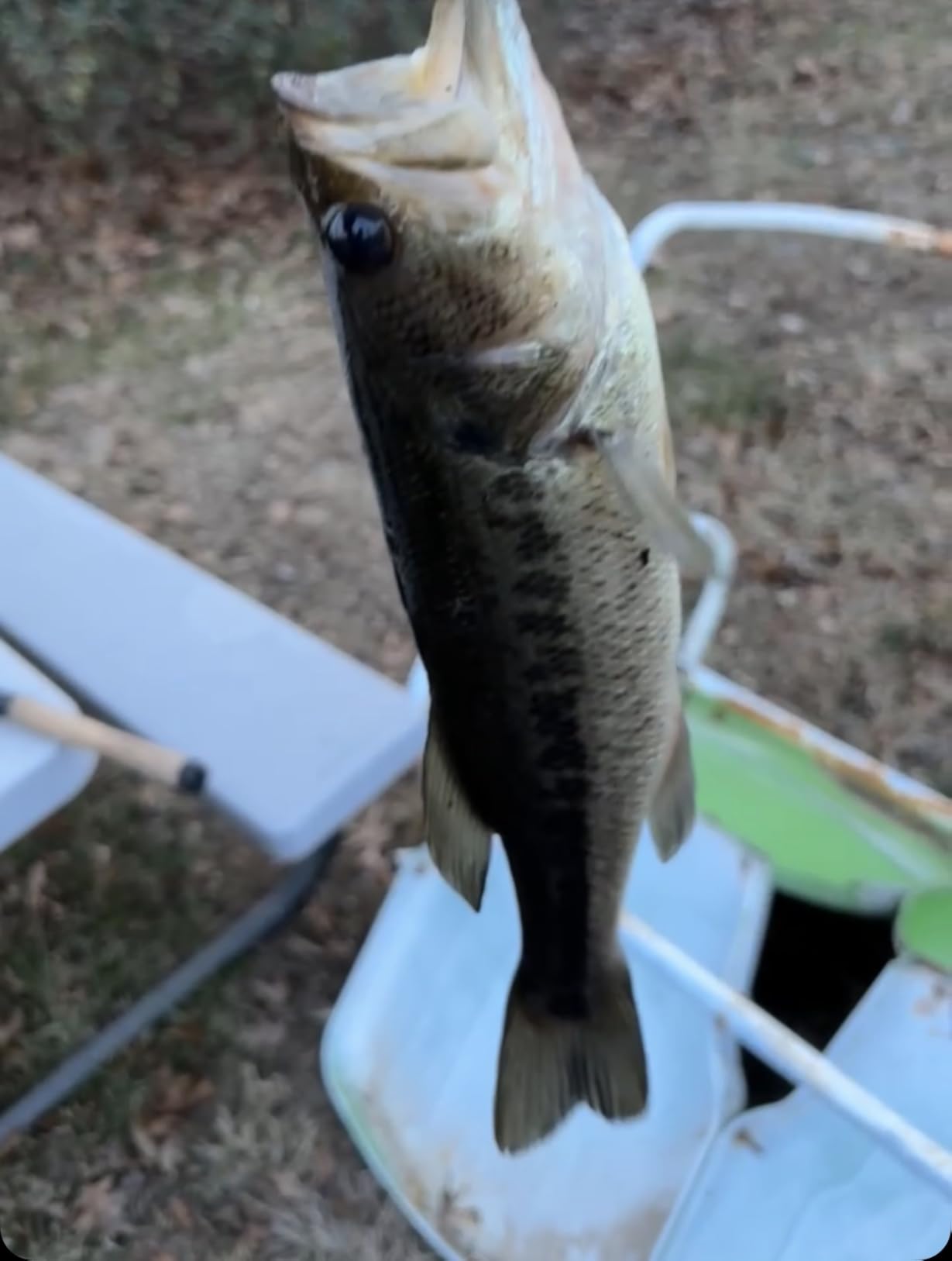 BASSDASH SwimPanfish Multi Jointed Panfish Bluegill Swimbaits Hard Topwater Bass Lures Fishing Lure Crank Saltwater 3.5in/0.85oz customer photo 2