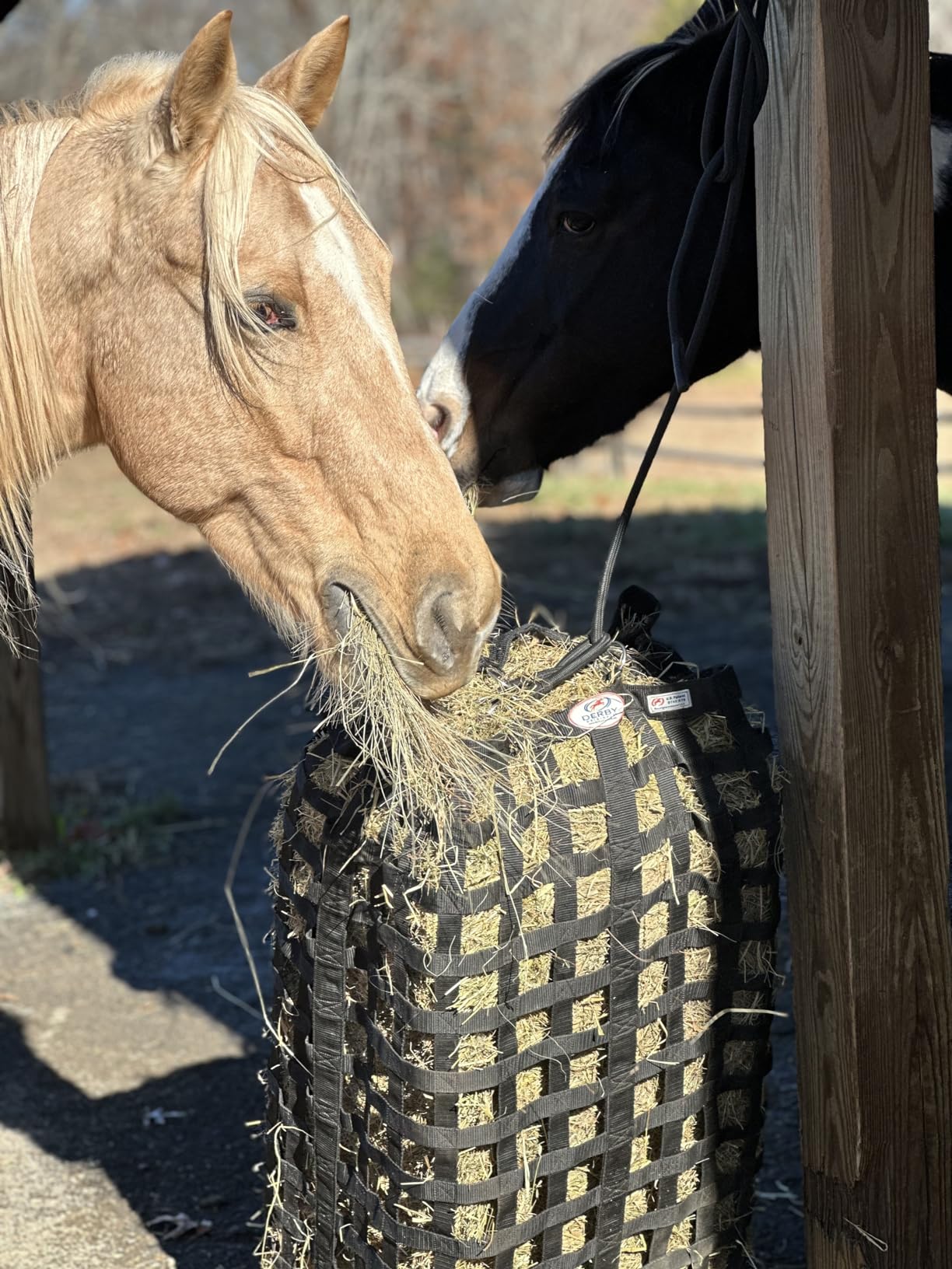 Derby Originals XL Go Around Slow Feeder Horse Hay Bag with Super Tough Bottom and 1 Year Warranty, Royal Blue, 71-7132RBL customer photo 1