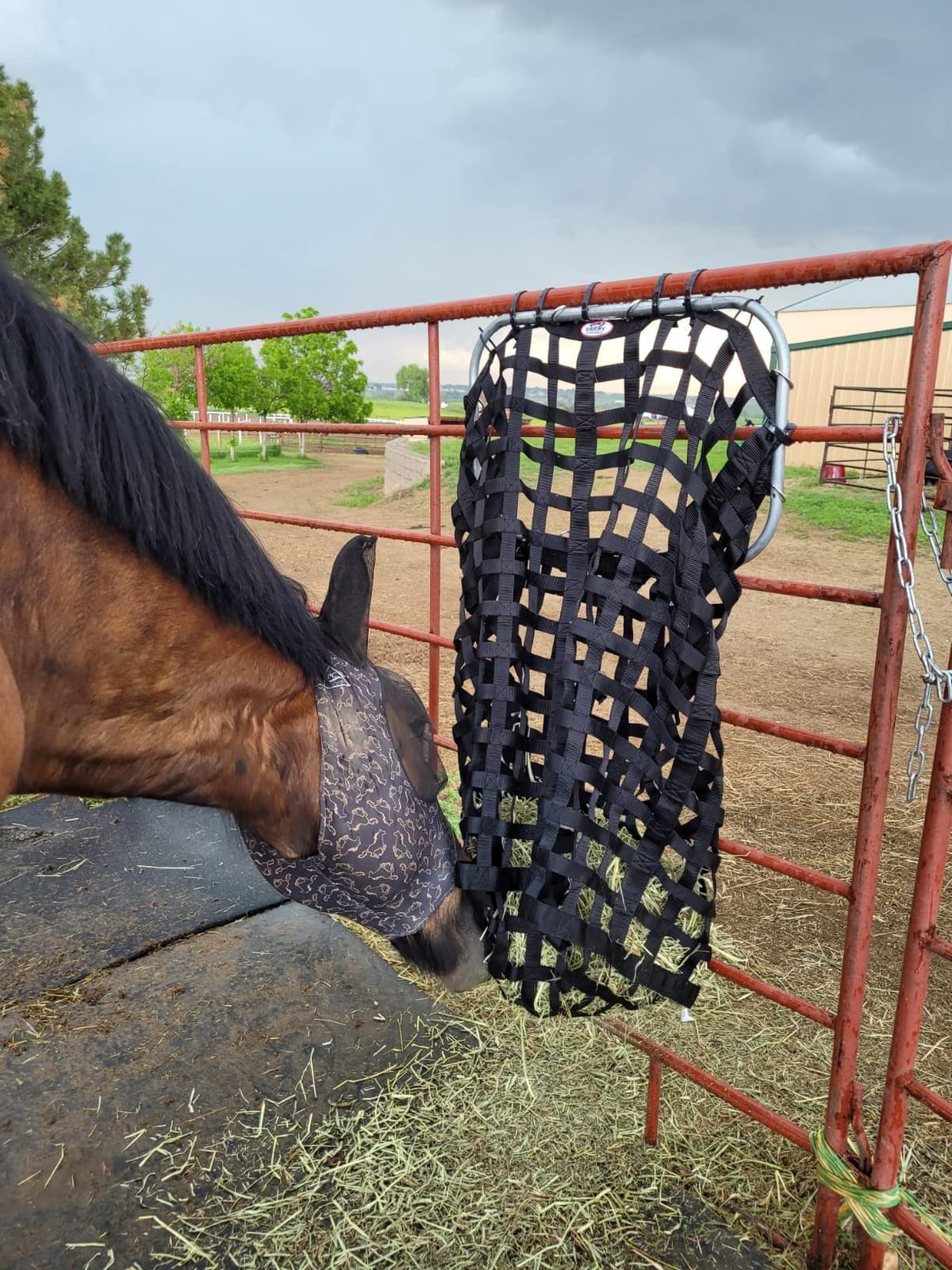 Derby Originals XL Go Around Slow Feeder Horse Hay Bag with Super Tough Bottom and 1 Year Warranty, Royal Blue, 71-7132RBL customer photo 2