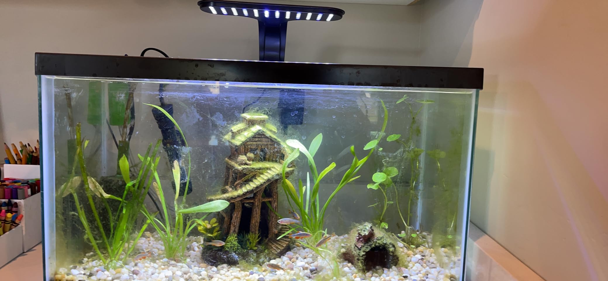 Aqueon Clip-On LED Fish Tank Light for Planted Aquariums, Up to 20 Gal customer photo 1