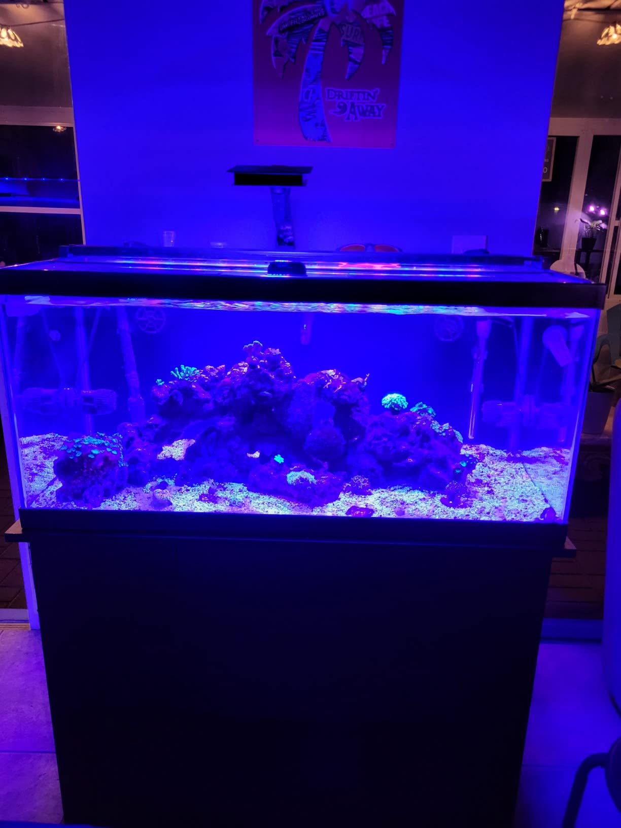 Fluval SEA Marine Nano LED Aquarium Lighting with Bluetooth, 20 Watts,Glass customer photo 2
