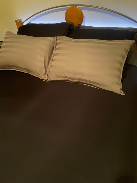 Pure Bamboo Queen Sheets, Genuine 100% Organic Viscose Derived from Bamboo Bed Sheet Set, Luxuriously Soft & Cooling, Double Stitching, 2 Year Quality Promise (Queen, Ivory) customer photo 1