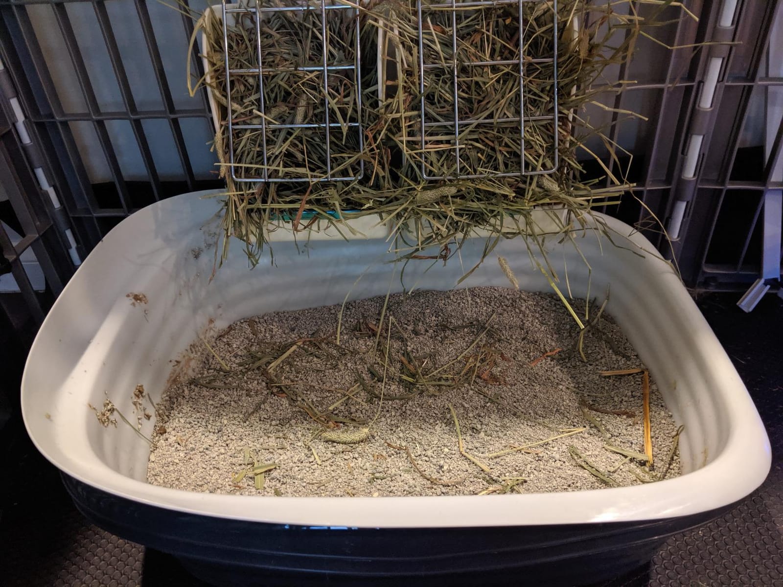 CalPalmy 2-Pack Hay Feeder for Rabbits, Guinea Pigs, and Chinchillas - Minimize Waste and Mess with 5 1/2