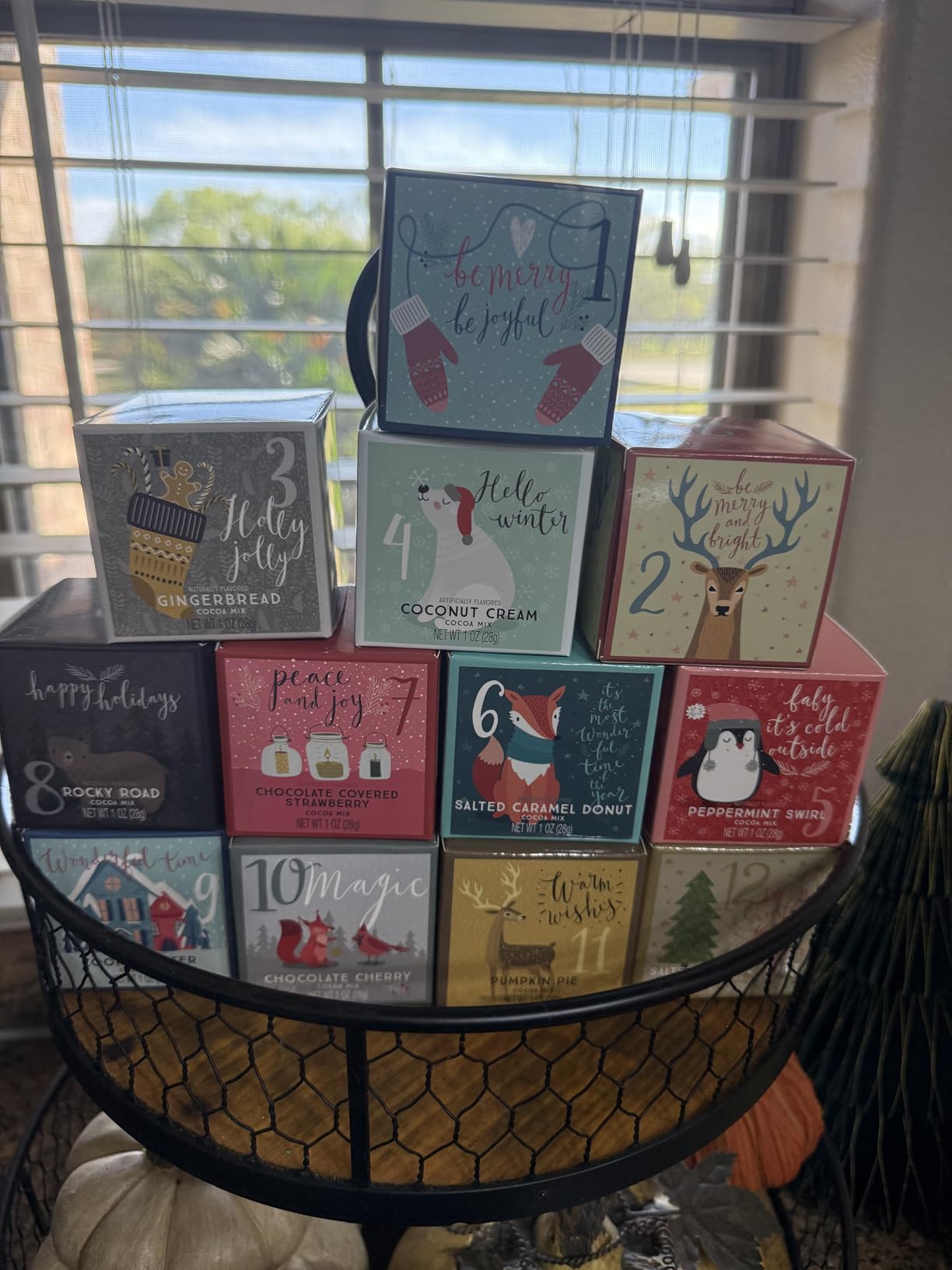 12 Days of Christmas Hot Chocolate Gift Set, 12 Gourmet Hot Cocoa Mixes customer photo 1