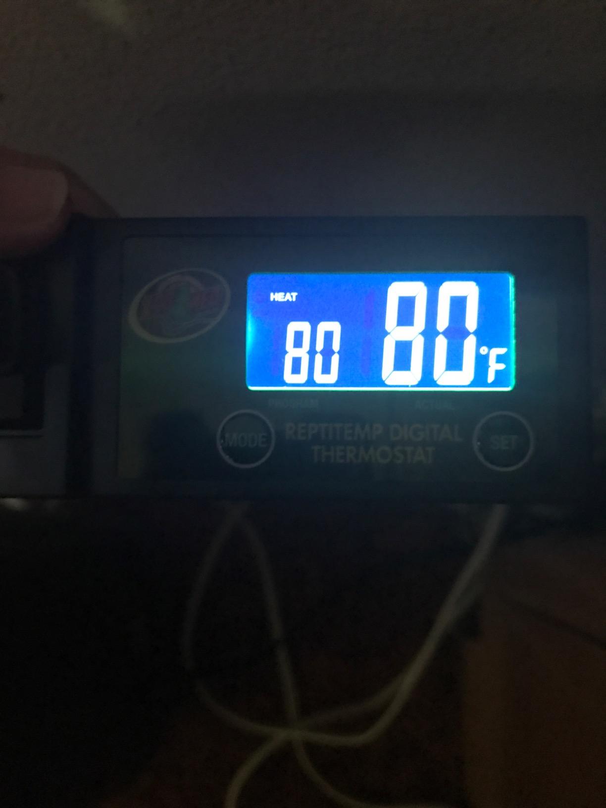 Zoo Med ReptiTemp Digital Thermostat customer photo 1