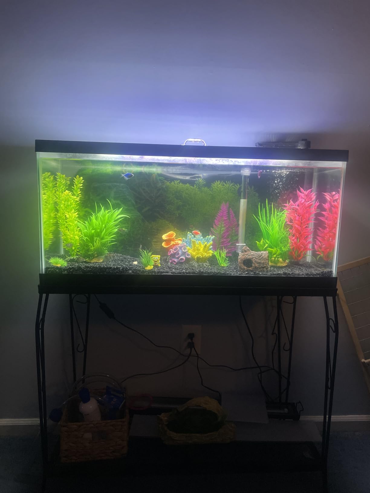 AQUANEAT LED Aquarium Light Full Spectrum for 30 Inch to 38 Inch Fish Tank Light Fresh Water customer photo 2