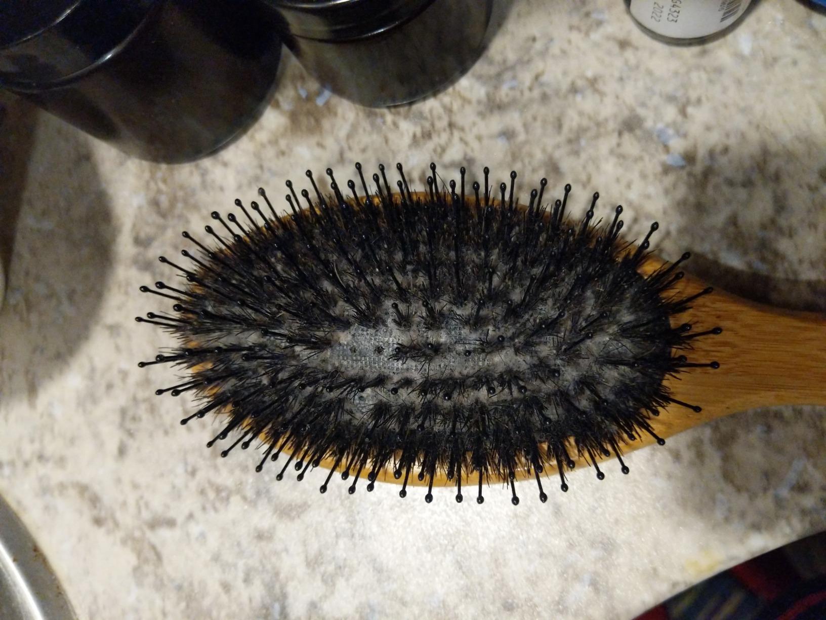 Belula Boar Bristle Hair Brush Set for Thick, Long and Curly Hair, Medium customer photo 1