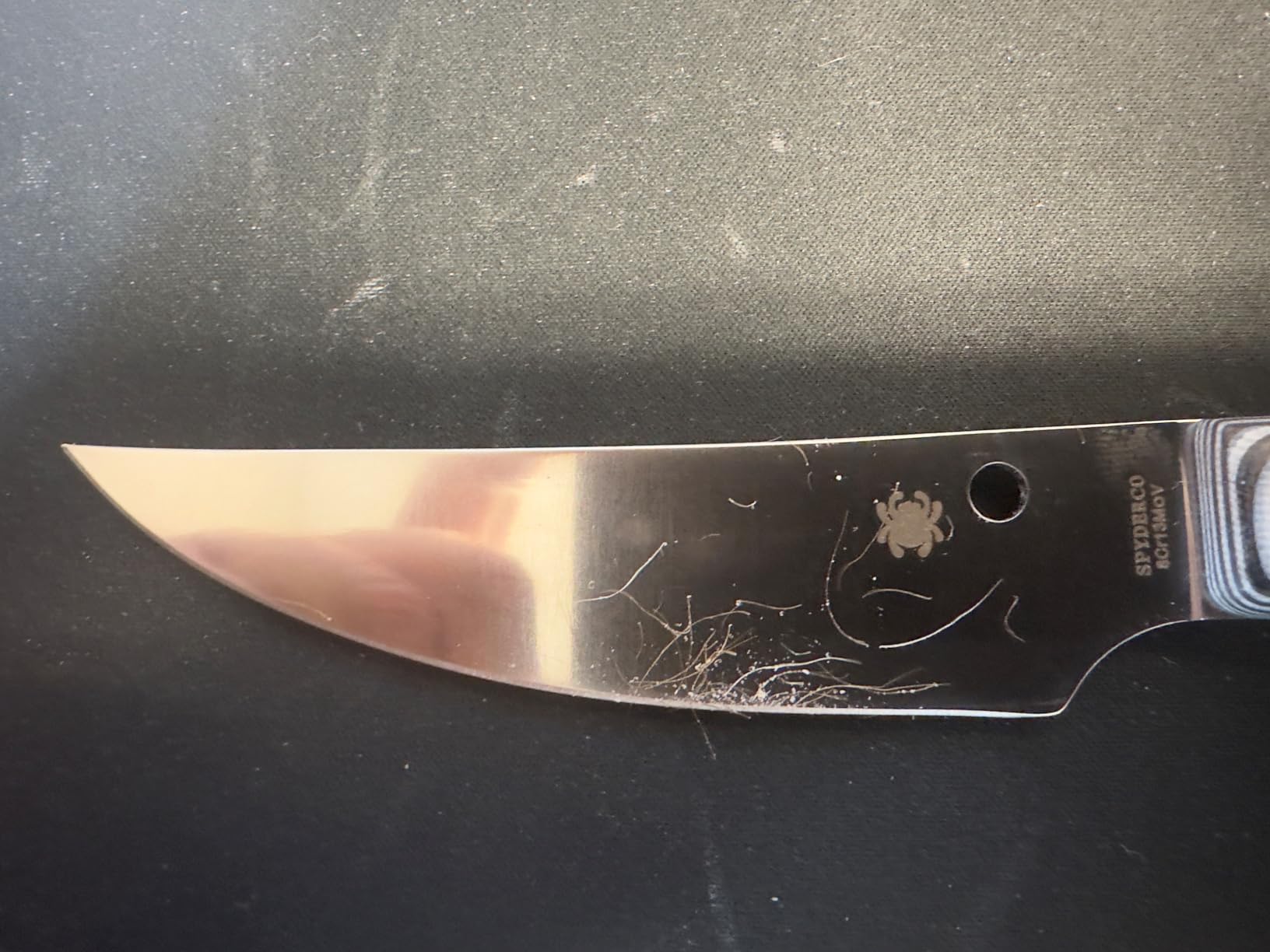 Spyderco Bow River Fixed Blade Outdoor Hunting Knife, PlainEdge customer photo 2