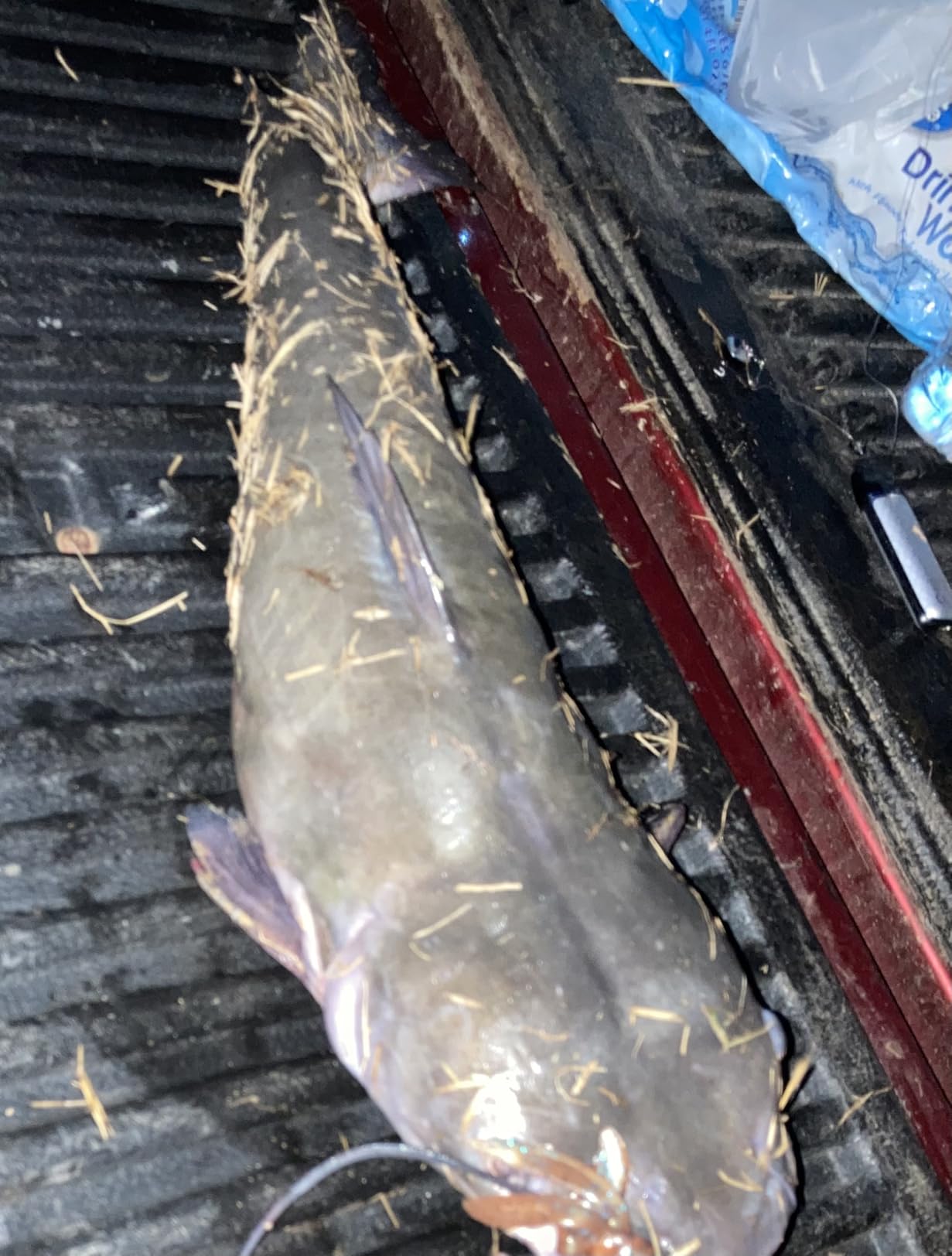 Berkley PowerBait Pit Boss Fishing Soft Bait customer photo 2