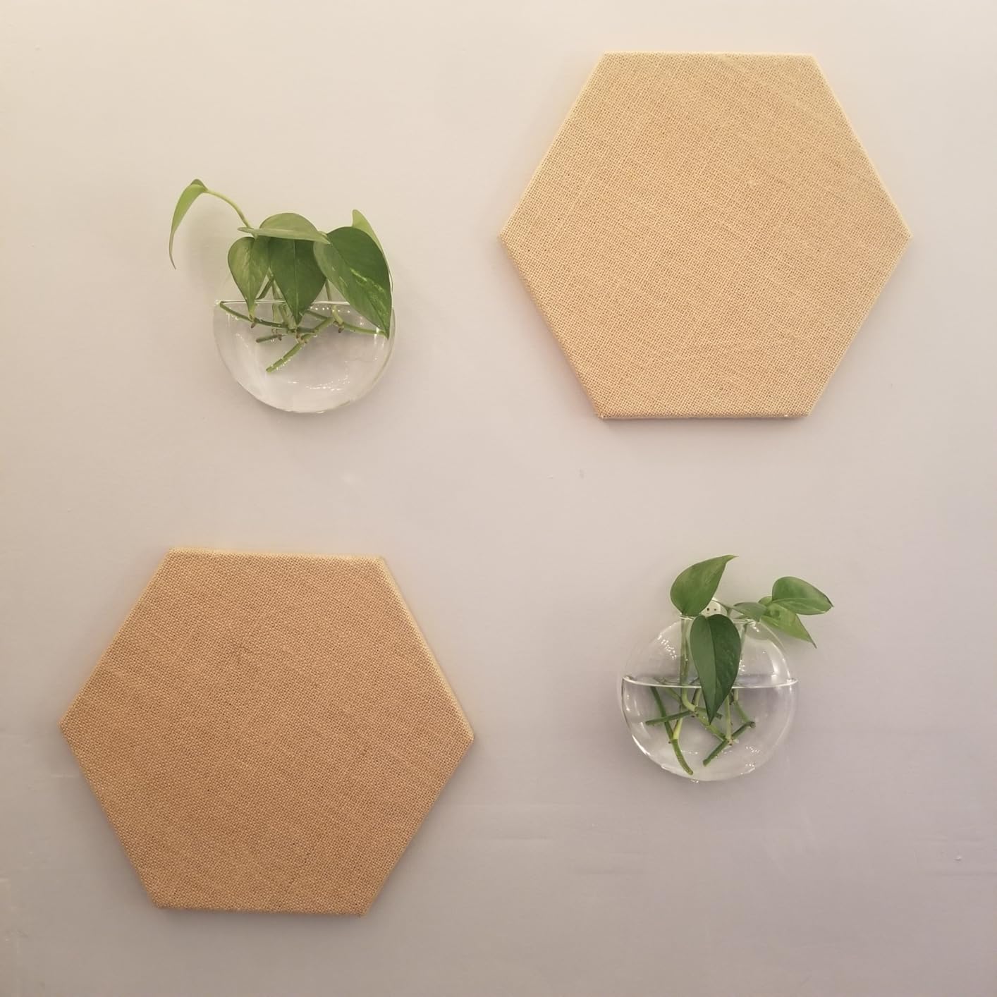 Mkono Wall Propagation Planters, 4 Pack Oblate Hanging Plant Holder Vase customer photo 2